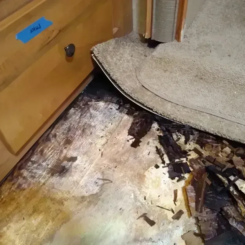 Wood Floor Water Damage in Rosenberg, TX